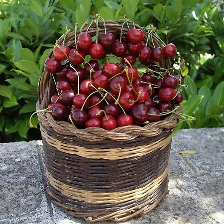 Aparthotel Trulli Convertini