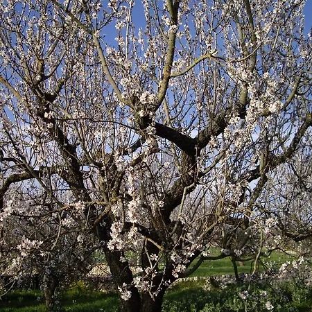 Trulli Convertini Aparthotel 3*