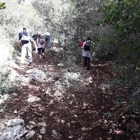 Trulli Convertini Locorotondo