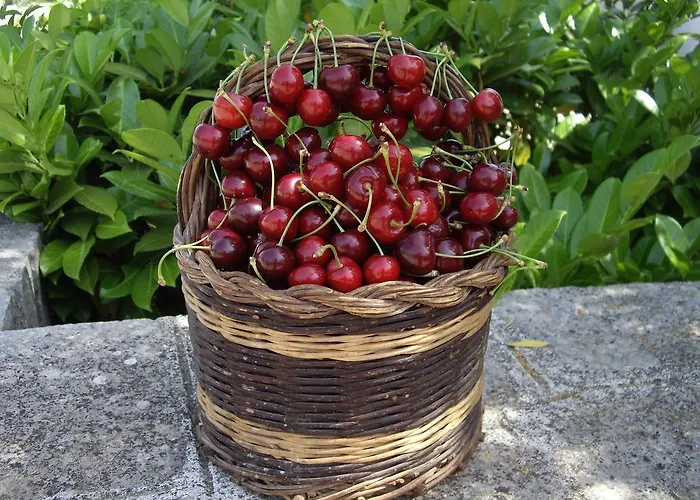 Aparthotel Trulli Convertini