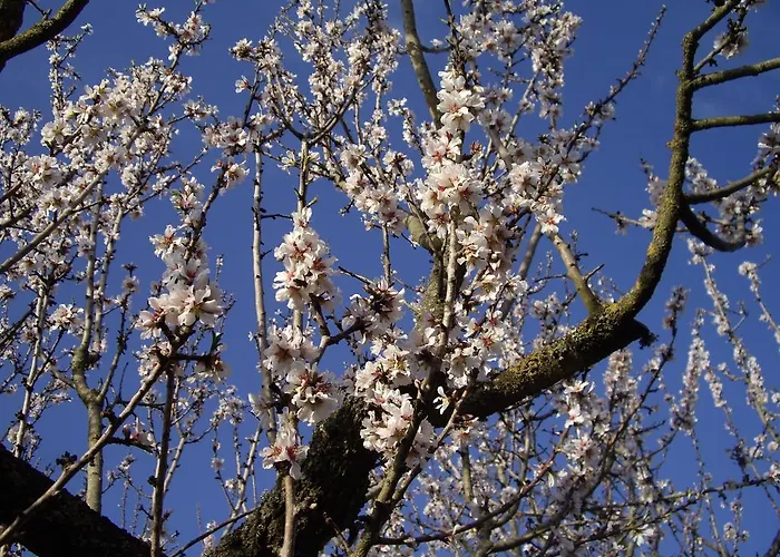 Aparthotel Trulli Convertini 3*