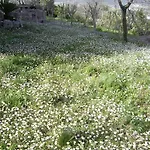 Apart-hotel Trulli Convertini