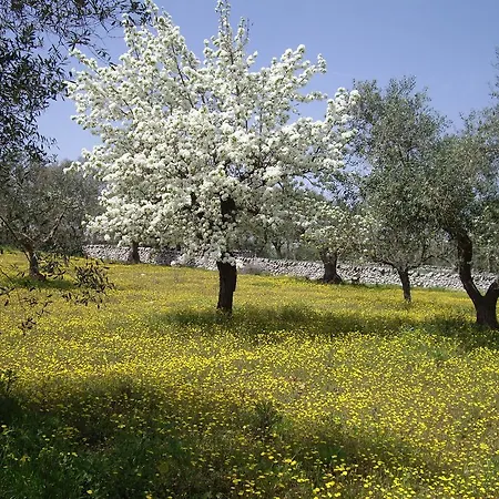Trulli Convertini 아파트호텔 3*