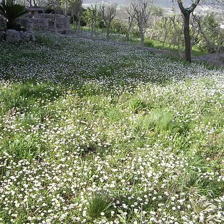 公寓式酒店 Trulli Convertini