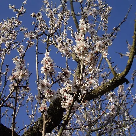 公寓式酒店 Trulli Convertini 3*